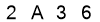 salt-55E5B1E3