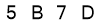 salt-BE1B9457