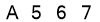 salt-7055EA70