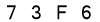 salt-FA0A5245