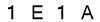 salt-10304CCE