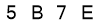 salt-9C1C1397