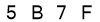 salt-D060E7CA