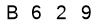 salt-D3803DD8