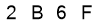 salt-5FCBFAF3