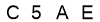 salt-7648B6C9