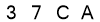 salt-C8E8F326