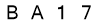 salt-AA137473