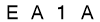 salt-13118E2C
