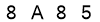 salt-D398BFAD