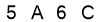 salt-169F8738