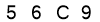 salt-3C281543