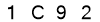 salt-11D0C737