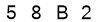 salt-833483E5