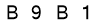 salt-663FB11B