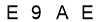 salt-4C354519