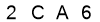 salt-CACD5AC1