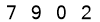 salt-709E7FA5