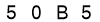 salt-5053FB6F