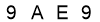 salt-FCEAEF2E