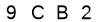 salt-1CD4C200