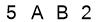 salt-D4B2A3A5