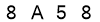 salt-B5C5A126