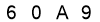 salt-81AD5D84