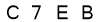 salt-FD888EA4