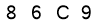 salt-C875DF34