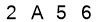 salt-C1515A79