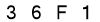 salt-9ACAC442