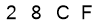 salt-318A8322
