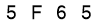 salt-080CD2F0